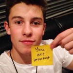 shawn-mendes-you-are-important-instagram